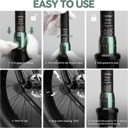 DISEN 9-Piece Click Torque Wrench Set, 1/4", 3/8" & 1/2" Drive, ±3% Accuracy with 6 Adapters